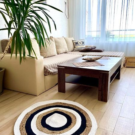 Apartment Europe 帕莫瑞 外观 照片